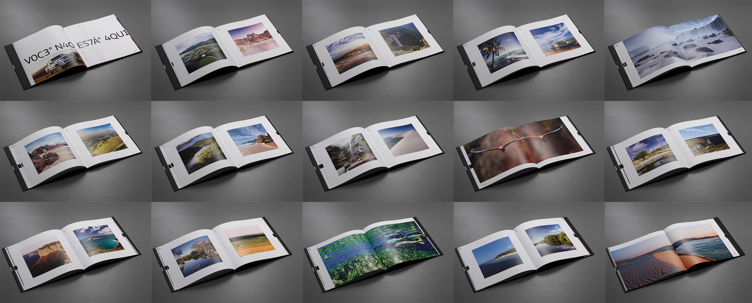 Book